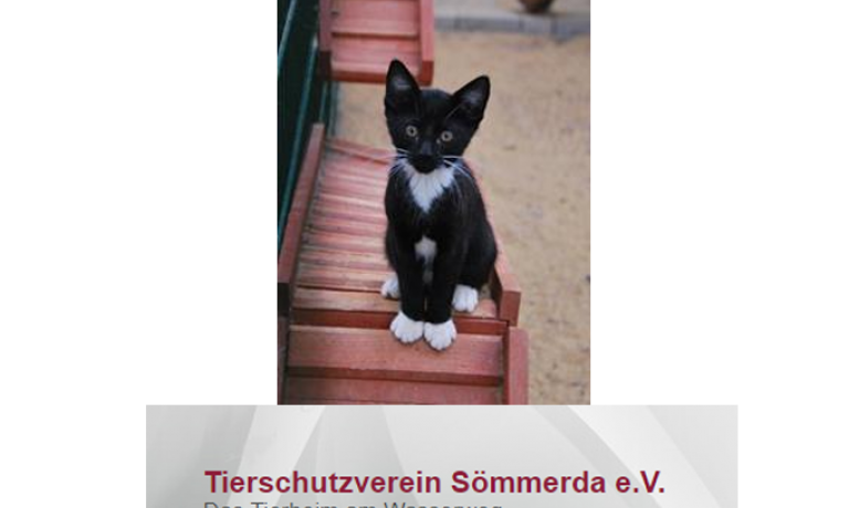 Tierschutzverein Sömmerda e.V.