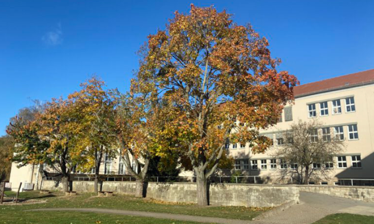 Staatliche Grundschule Ronneburg