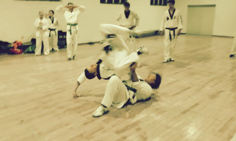 Taekwondo Club Mannheim e.V.